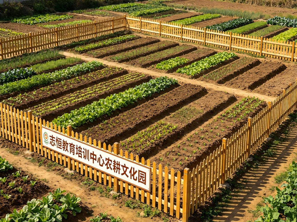 2026年上饶叛逆孩子改变学校深度解析:志恒教育培训学校全方位评估